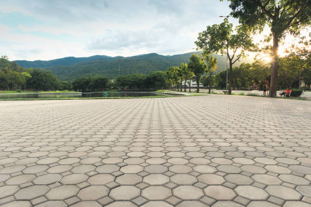 Best Residential Paver Driveway  in Bloomingdale, TN