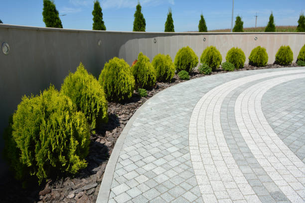 Best Driveway Paving Contractor  in Bloomingdale, TN