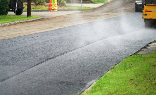 Best Driveway Paving Near Me  in Bloomingdale, TN