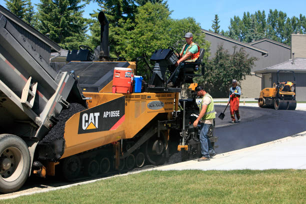 Best Local Driveway Pavers  in Bloomingdale, TN